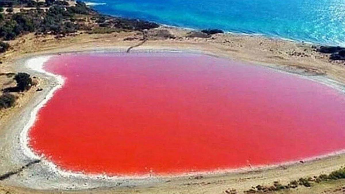 Dünya harikası Pembe Göl ve Ezine