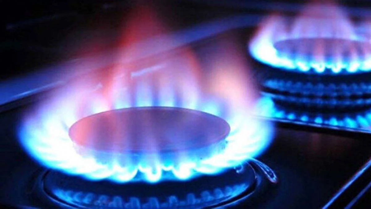 Enflasyon hesabında doğalgaz ayarı