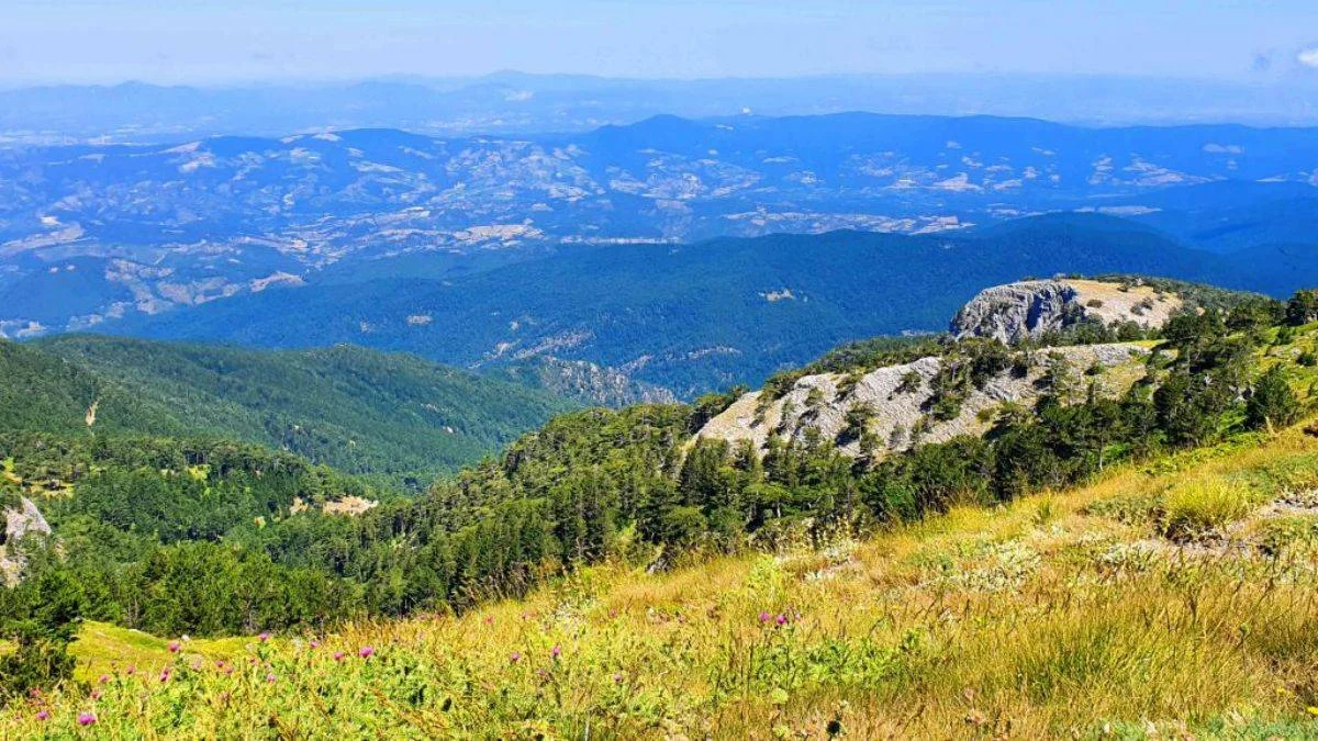 Lavanta bahçeleri içinde eşsiz bir tatil keyfi