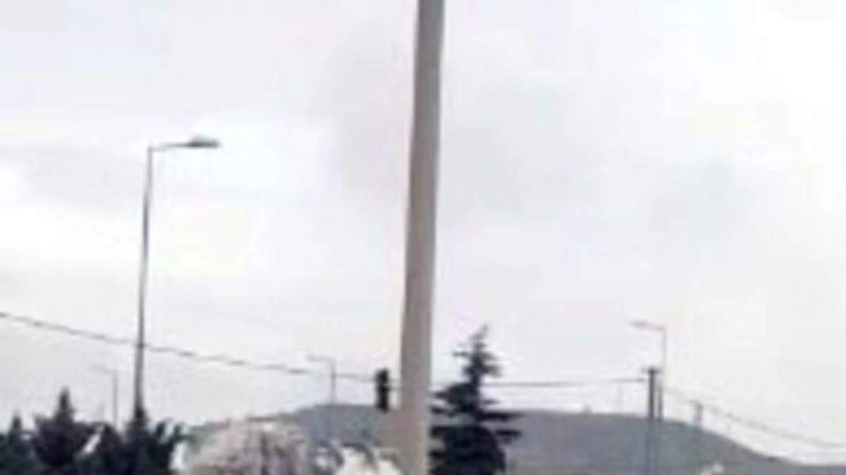 Nevşehir'de maket atları gören at, şaha kalktı