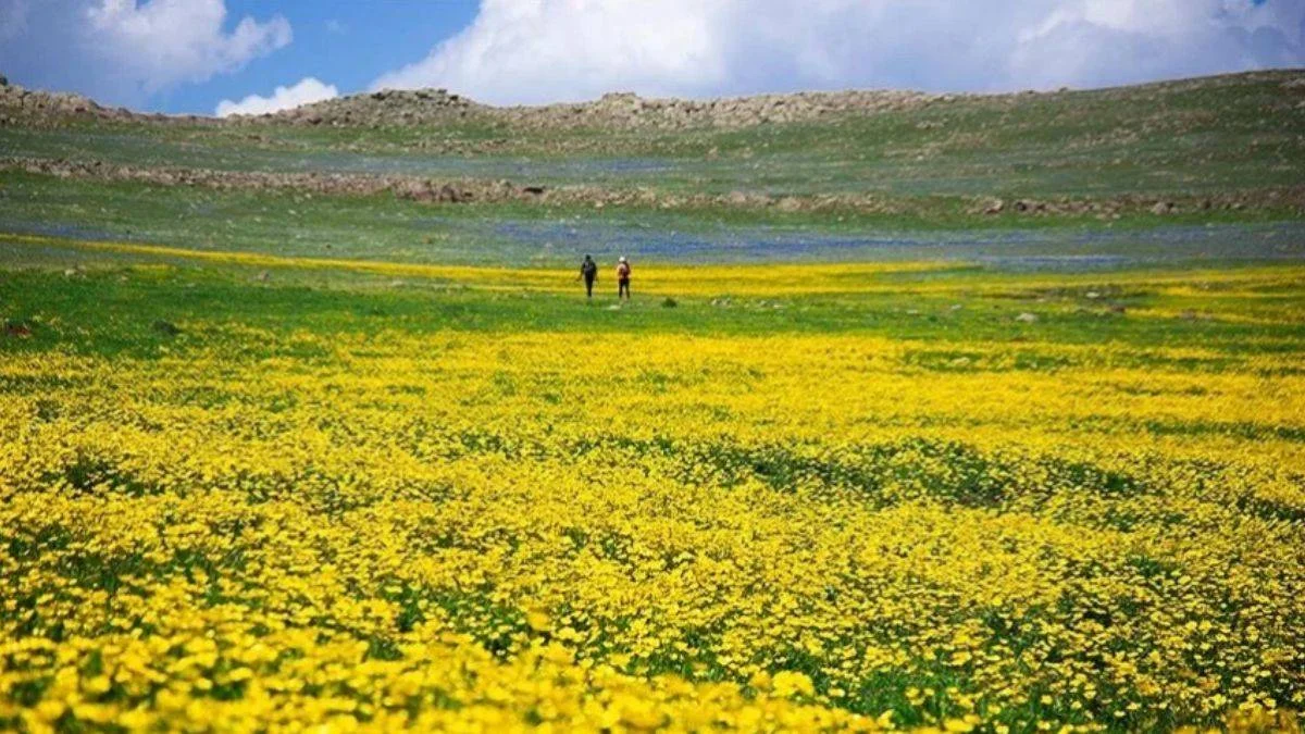 Şerefin Dağı ve Üç Tepeler'de bahar gezisi
