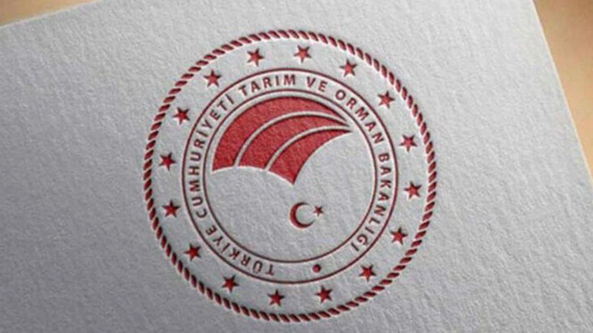Bakanlıktan 300 milyon TL hibe