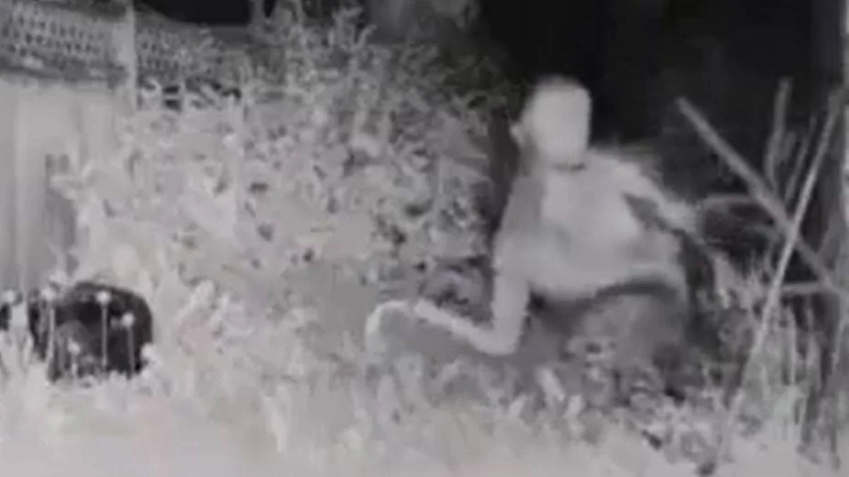 Tüm dünyanın konuştuğu uzaylı gerçek mi