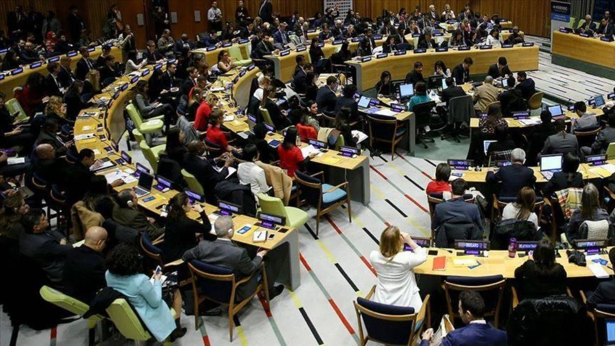 Türkiye, iki yıl Ekonomik ve Sosyal Konsey'de