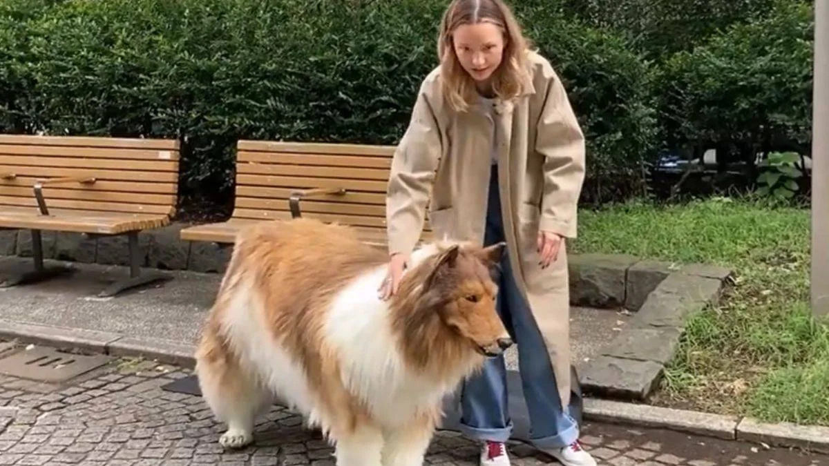 12 bin euro harcayıp, 'köpek' oldu