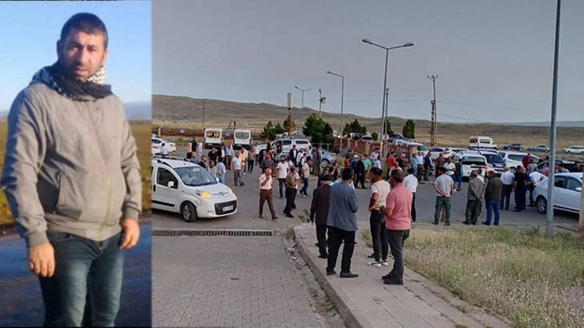Bingöl'de arı sokan çoban öldü