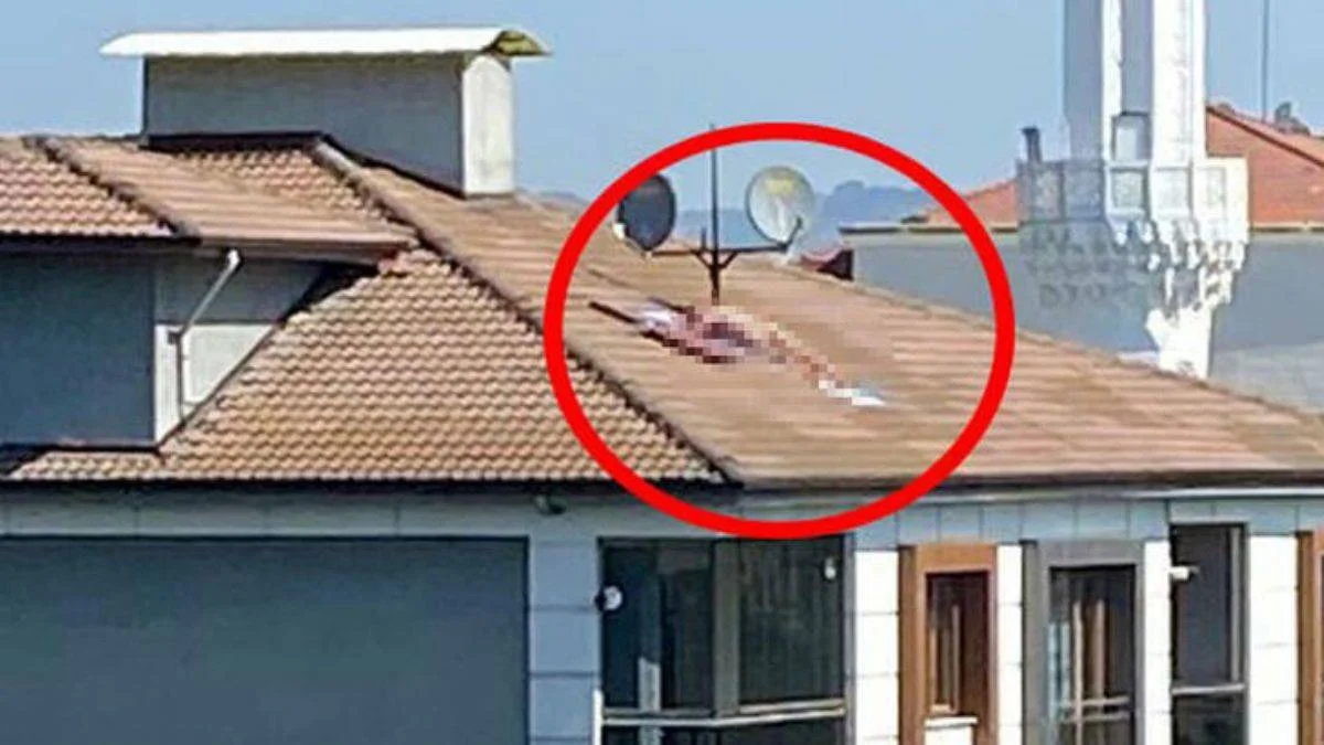Çatıda çıplak güneşlenen kişi apartmanın sahibi çıktı
