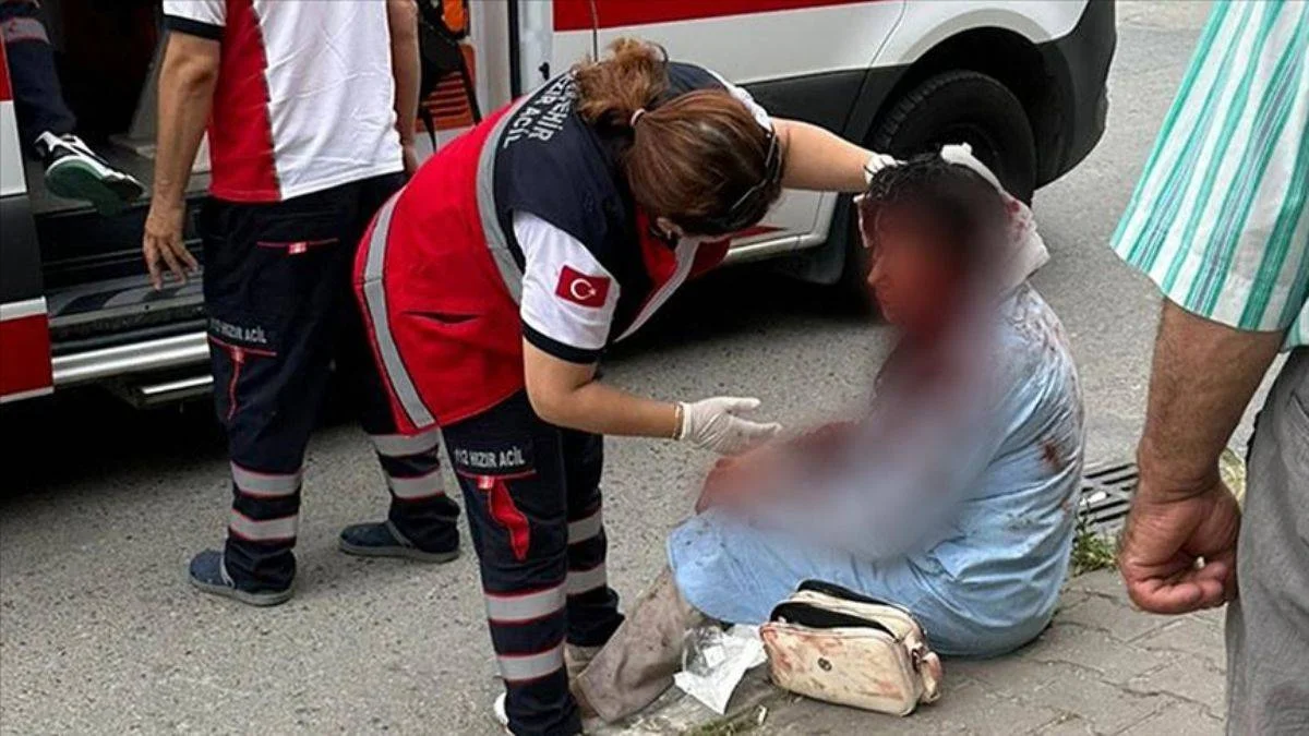Köpek saldırısına uğrayan kadın ağır yaralandı