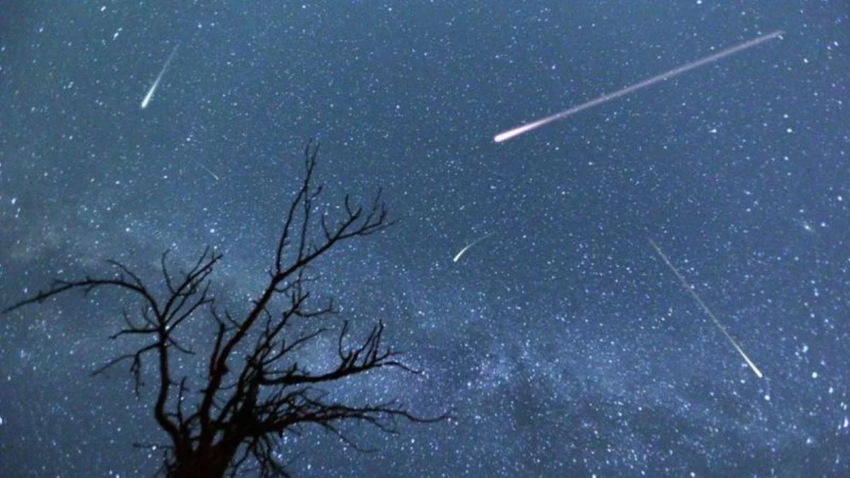 Aydın'da Perseid meteor yağmuru