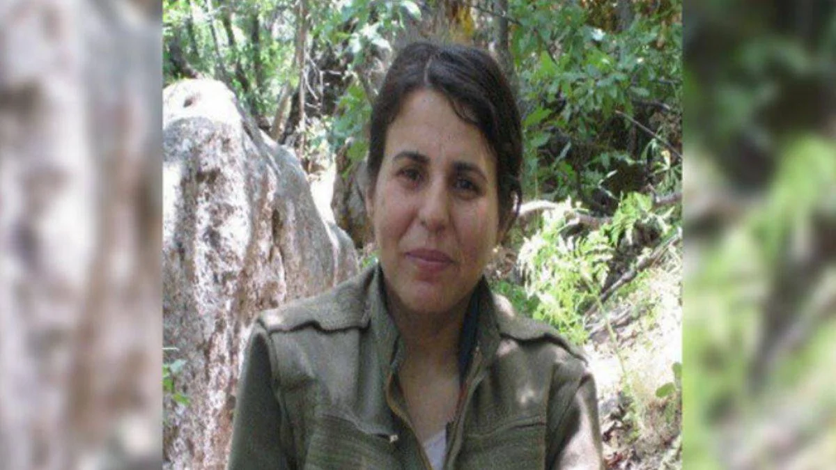 Bakan Yerlikaya duyurdu: Etkisiz hale getirildi