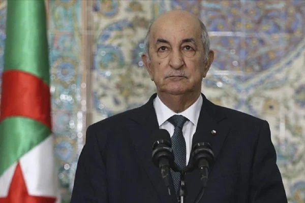 Cezayir: Nijer'e yönelik askeri müdahaleye karşıyız