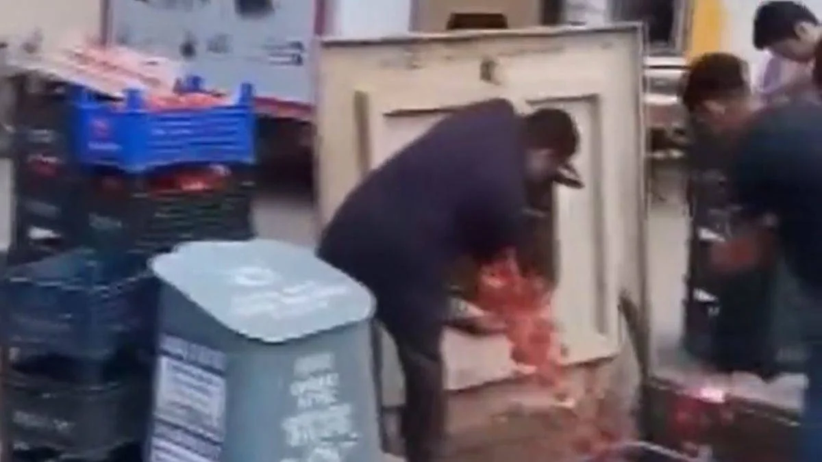 Çöpe dökülen domateslerle ilgili açıklama