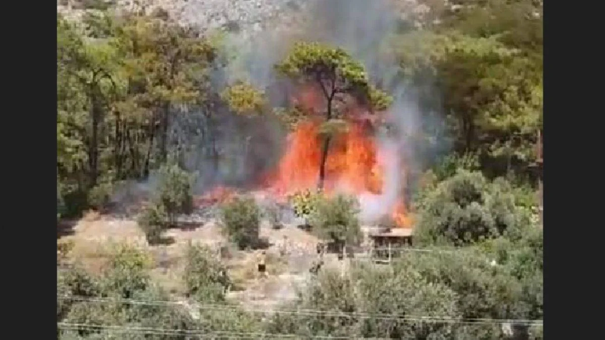 Muğla'daki orman yangınının çıkış anı