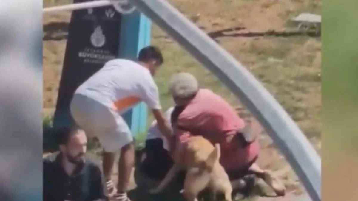 Tasmasız köpek kadına ve köpeğine saldırdı