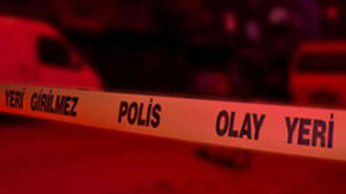 Üvey ağabeyini uyurken tüfekle öldürdü