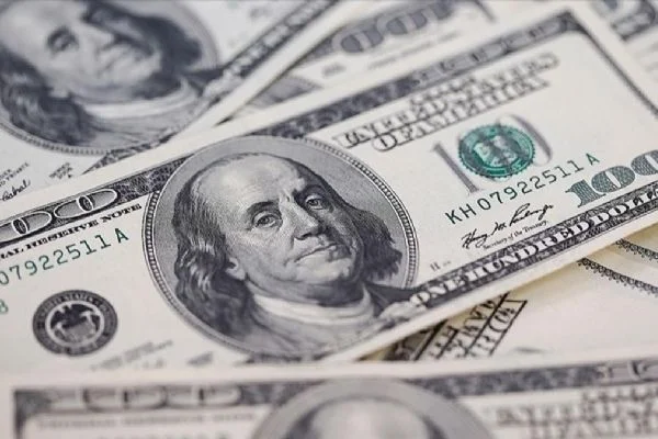 Yeni düzenleme iştahı artırdı! 10 milyar dolar Türkiye'ye aktı