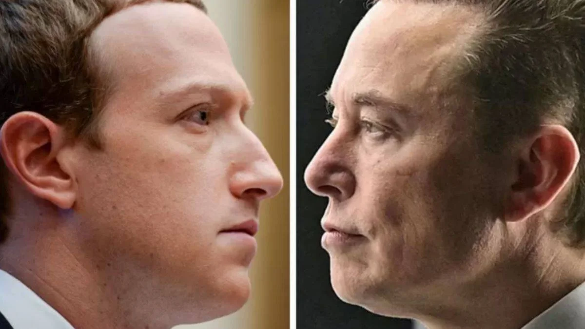 'Zuck bir tavuk'