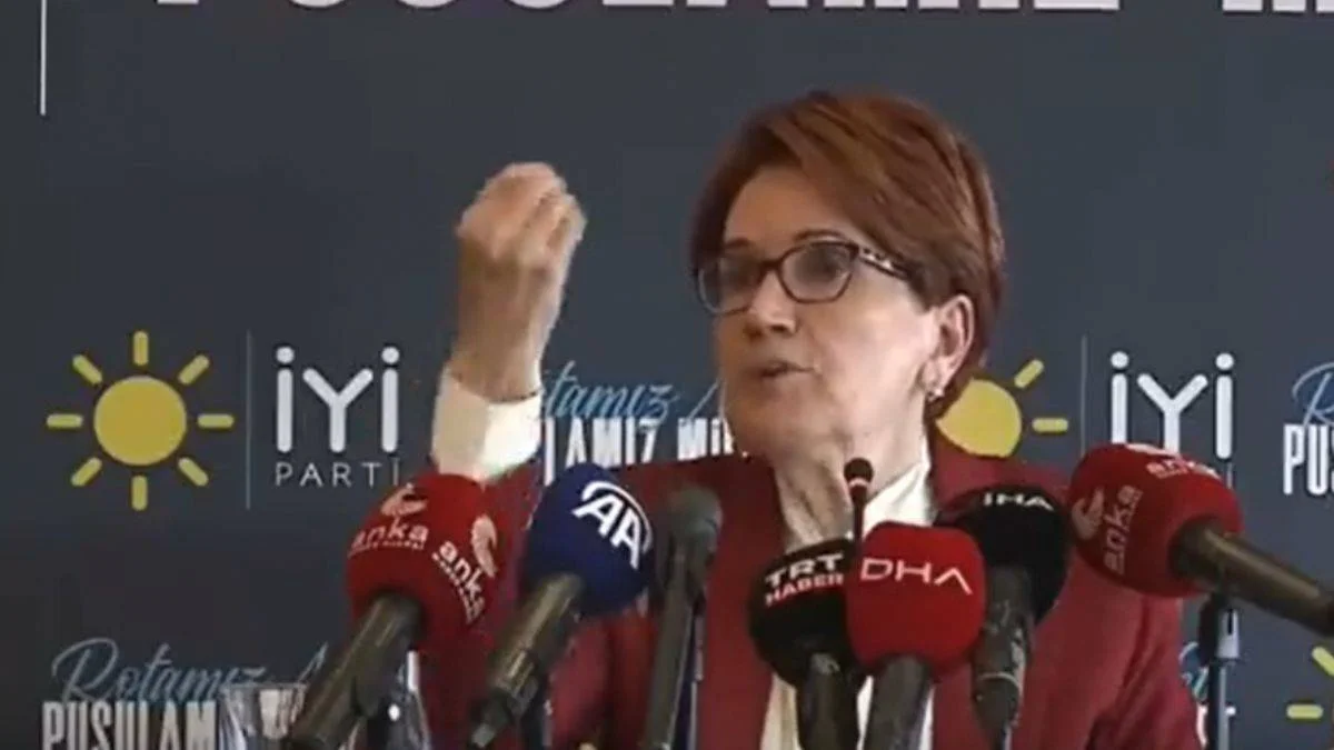 Akşener'den seçim sürecine ilişkin yeni ifşaat