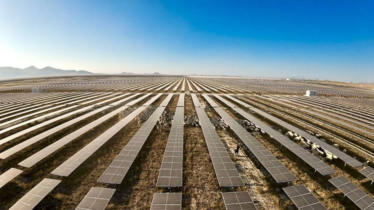 Avrupa'nın en büyük Güneş Enerjisi Santrali'nde otlatma