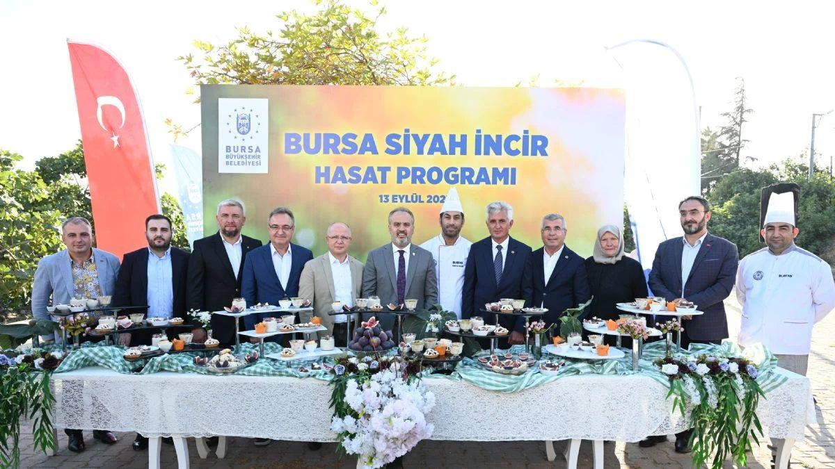 Bursa'nın 'Siyah incisi'nde hasat başladı