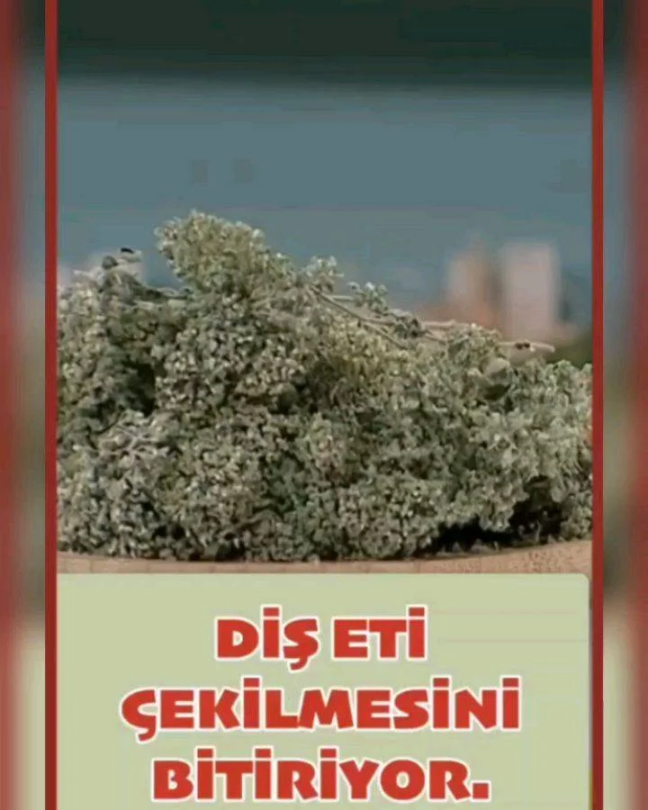 Diş eti çekilmesi için harika bir tavsiye