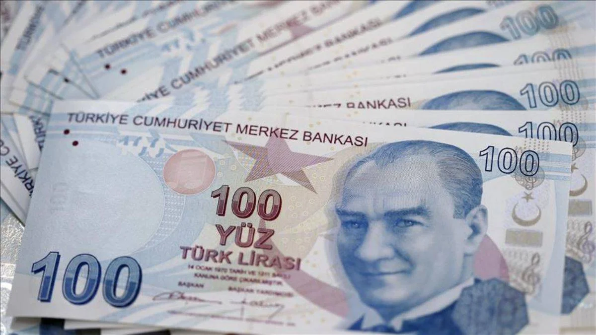 JP Morgan'dan TL açıklaması