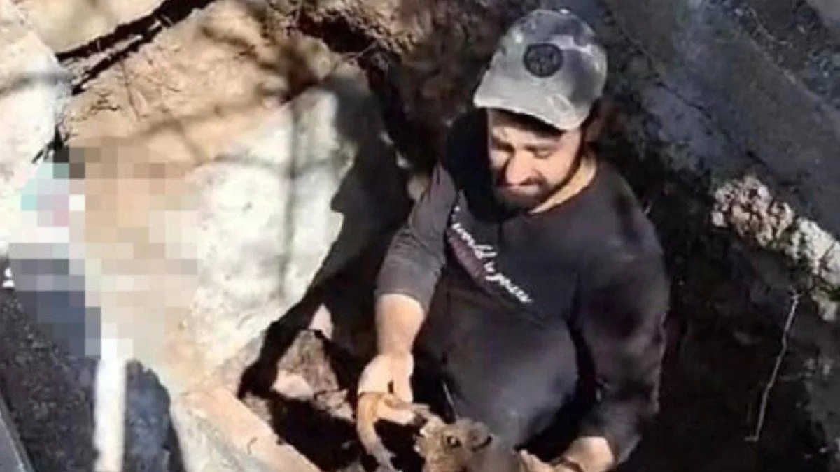 Kabirden çıkardığı kemikleri fırlatıp alay etti
