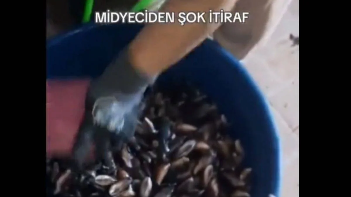 Midye yiyenler bu videoyu izlemesin