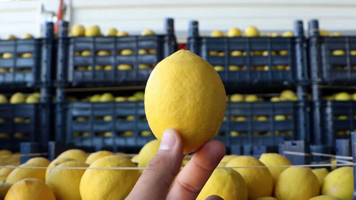 Neden denetim yok? Bahçede 3, halde 4, markette 24 lira!