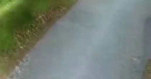 Romalılar köprüyü böyle inşa ediyor