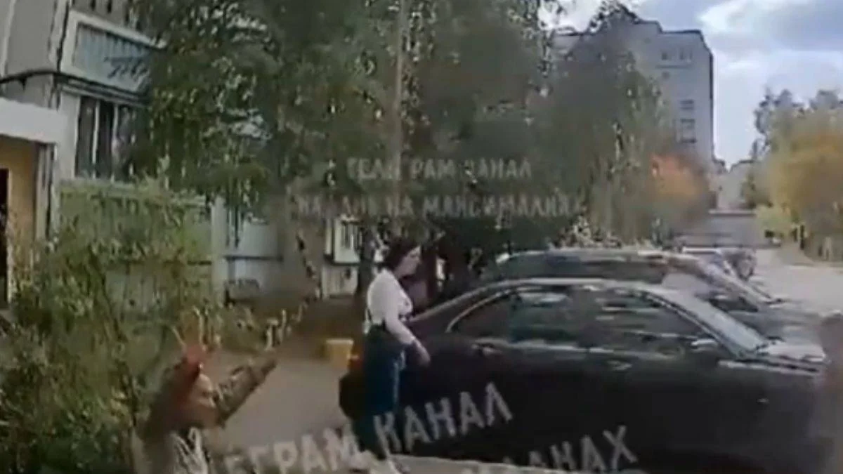 Savaşın delirttiği insanlar