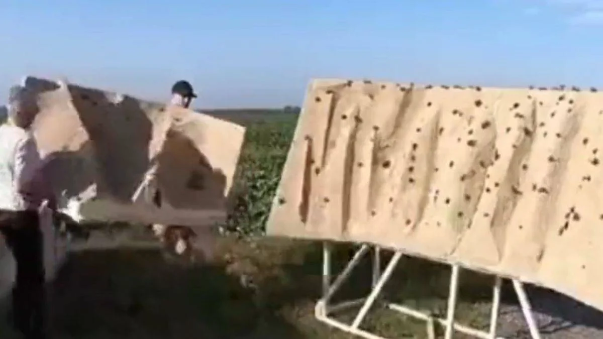 Şipşak film seti