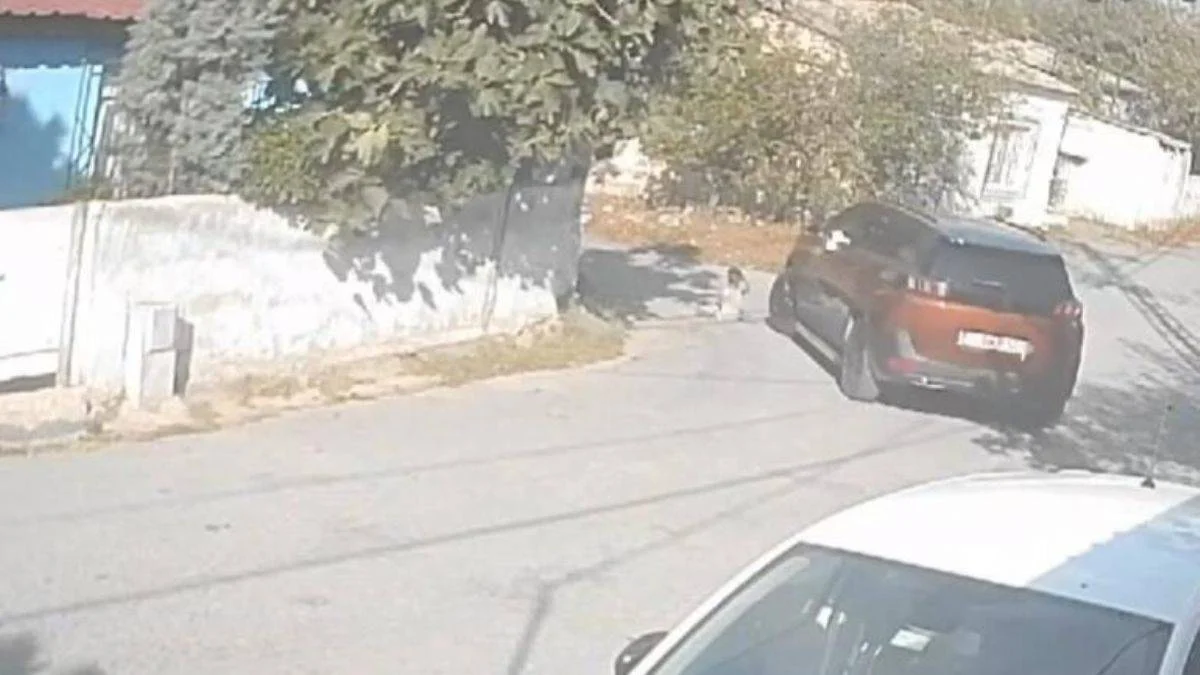 Sokakta kedi seven 2 yaşındaki çocuğu ezdi