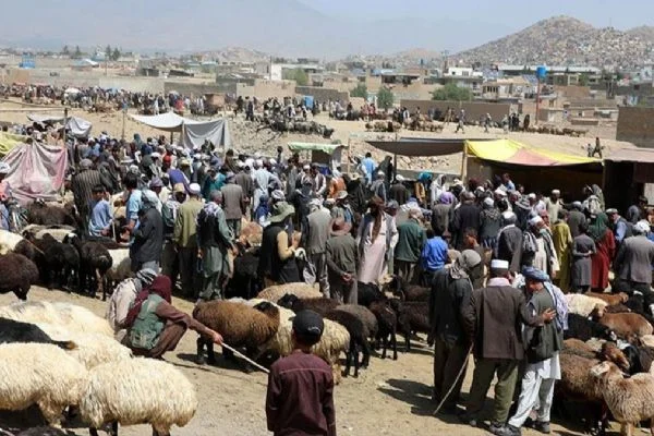 Talibana göre Afgan tüccarlara Pakistan zorluk çıkarıyor