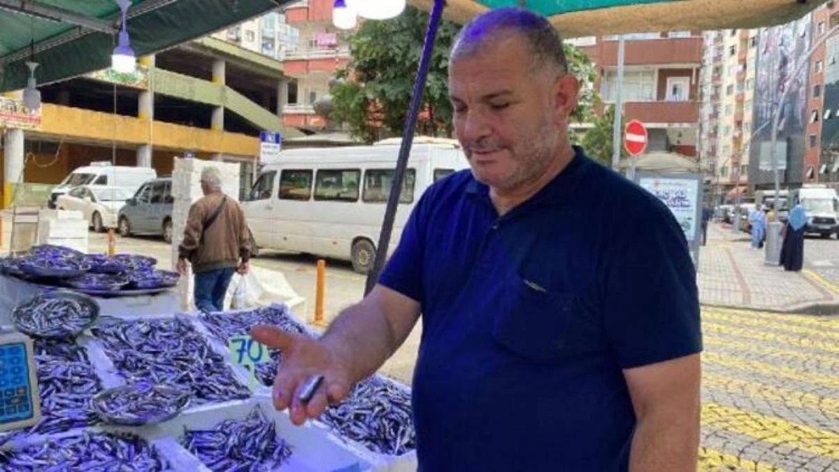 Yamyam avcılar çıktı, hamsi küçüldü