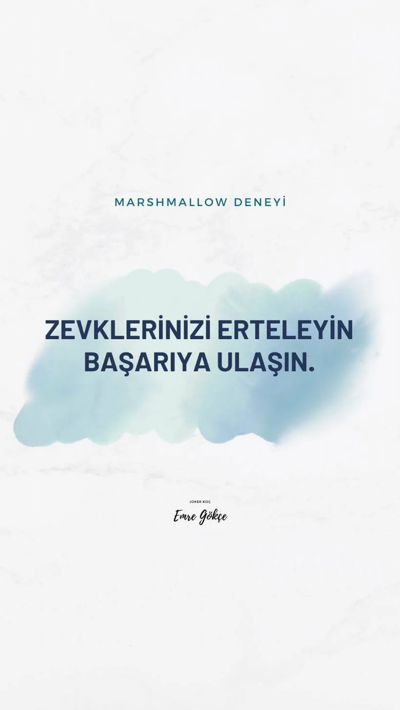 'Zevklerinizi erteleyin başarıya ulaşın'