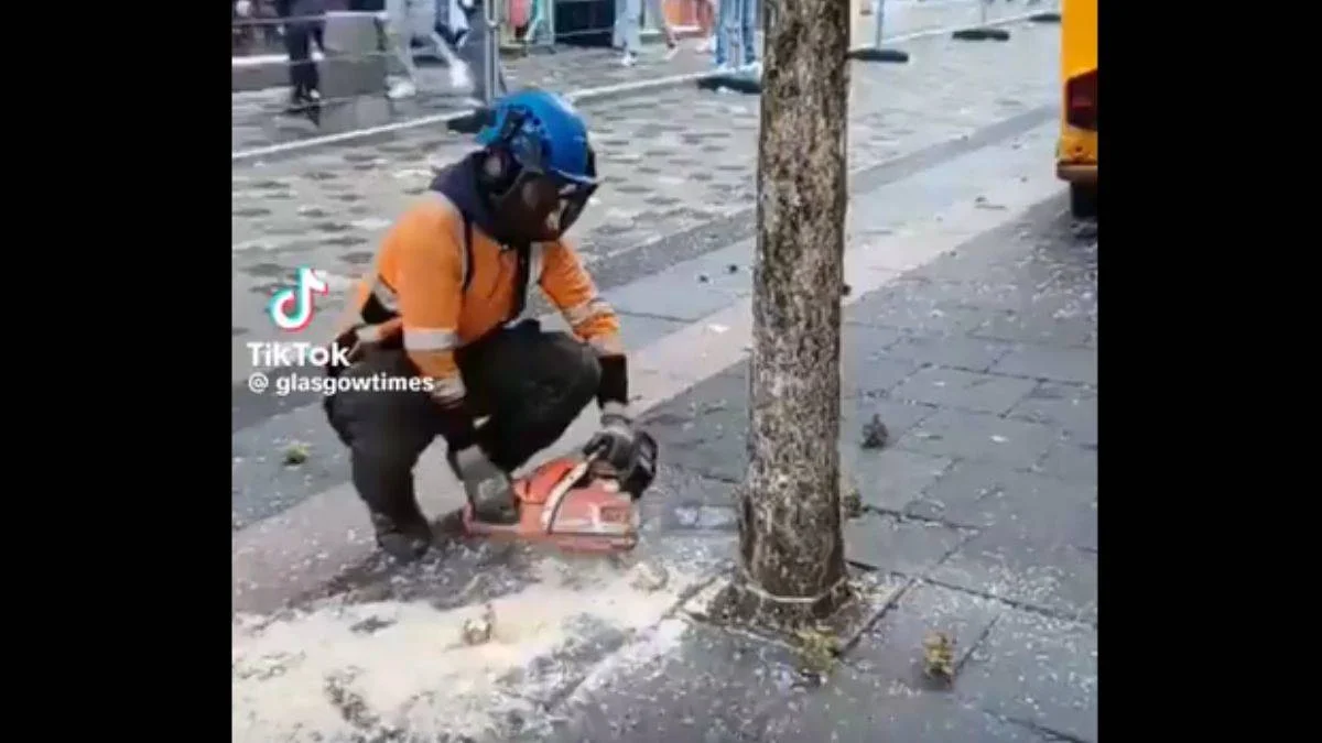 5-G için ağaçlar kökünden kesiliyor