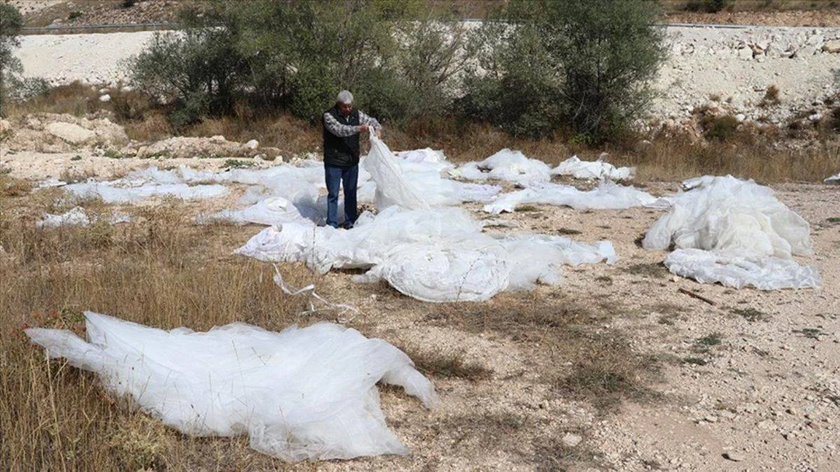 Araziye atılmış çok sayıda gelinlik bulundu