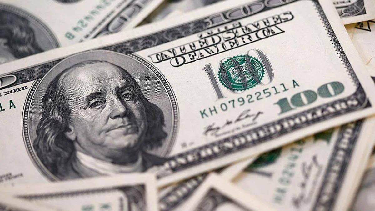 Dolar neden 24 TL'ye düştü?