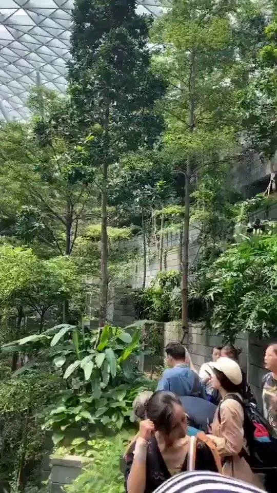 Harika çatı tasarımı