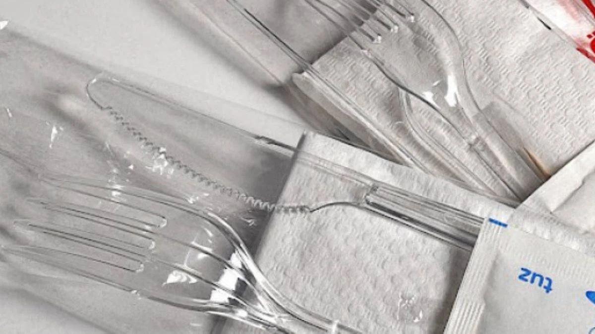 İngiltere'de plastik çatal, bıçak, tabaklar yasaklandı