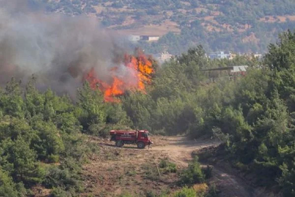Mısır tarlasında biçerdöver yangını: 2 yaralı