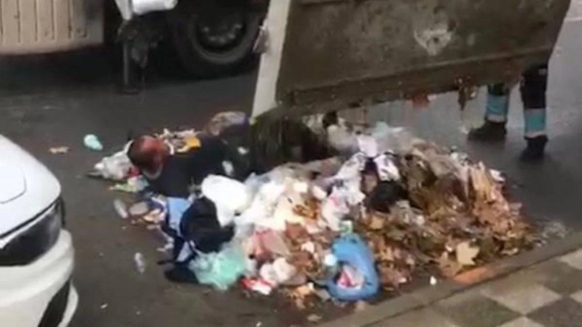 2 gün kaldığı çöp konteynerinden vinçle çıkarıldı