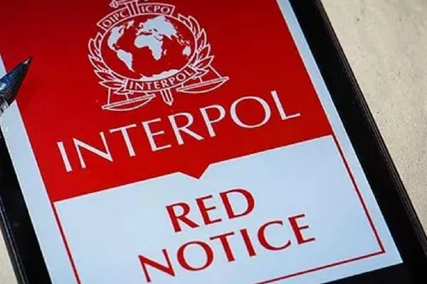 Interpol'un kırmızı bültenle aradığı 2 DEAŞ'lı Kırşehir'de yakalandı