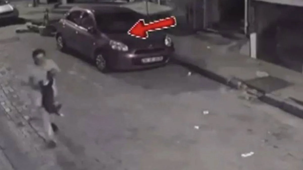 İstanbul'da kaçırdığı kediyi tekmeleyip öldürdü: Tutuklandı