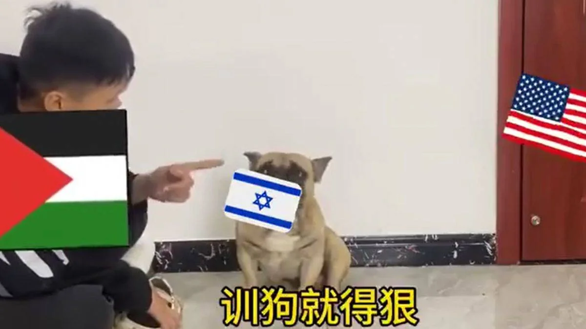 Köpek videosunda ABD-İsrail benzetmesi