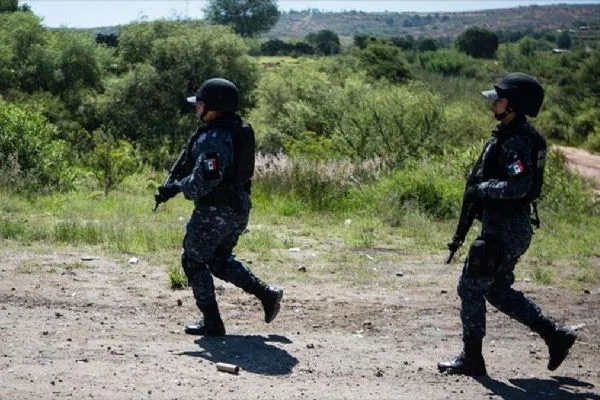 Meksika'da 7 kişinin cesedi bulundu