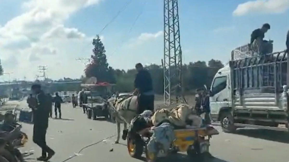 Şehitleri atlı arabasıyla taşımak için gönüllü olan Gazzeli genç