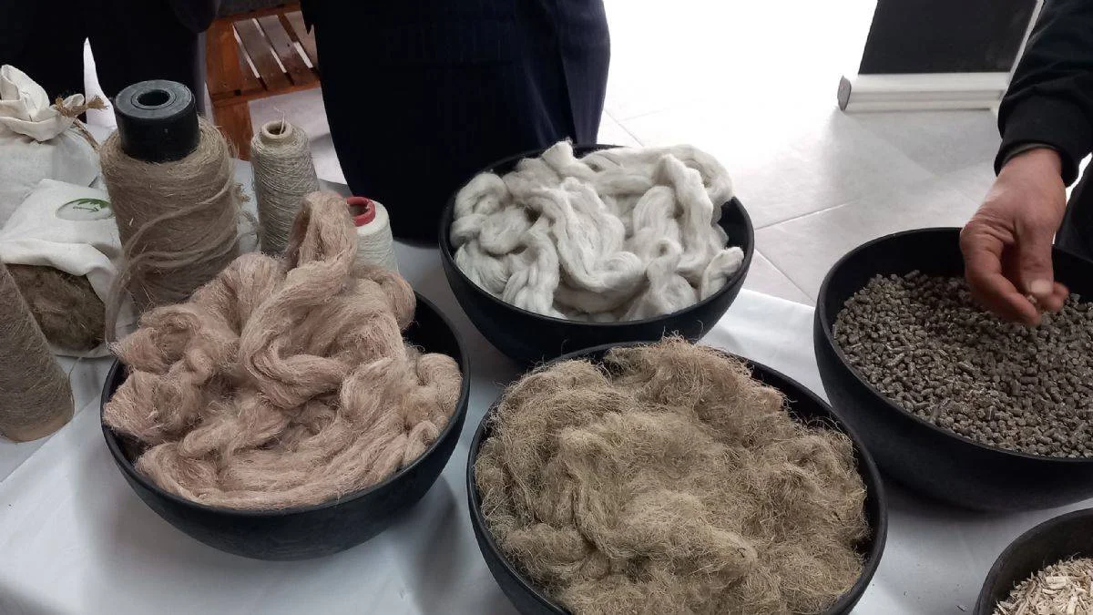 Türkiye'de büyük değişim, kenevir işleyecek fabrika tanıtıldı