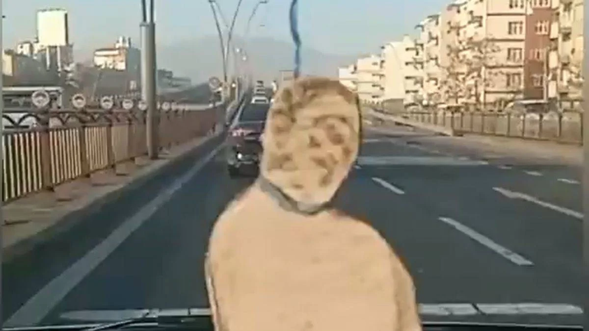 Araç içinde 'Şeyh Sait çizimli' paylaşım